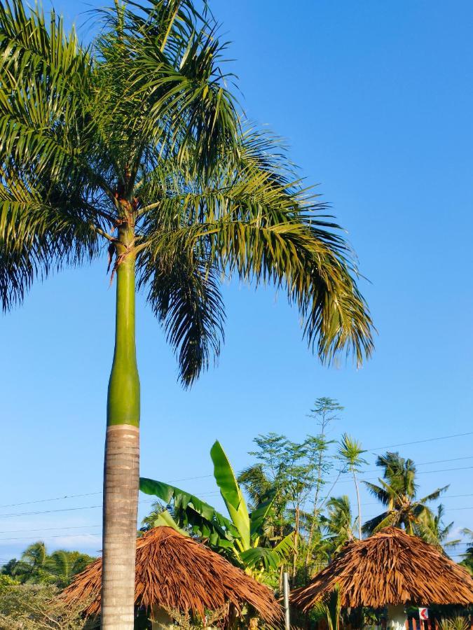 Mariella'S Guest House Siquijor Exterior photo